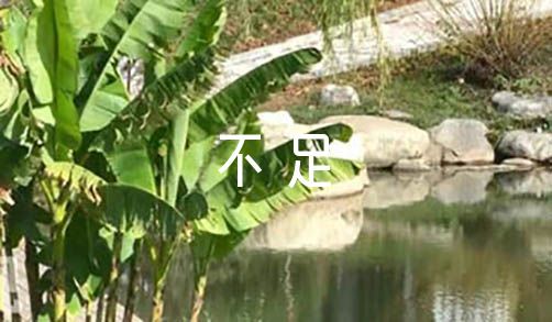 篮球一周训练计划方案表格_2